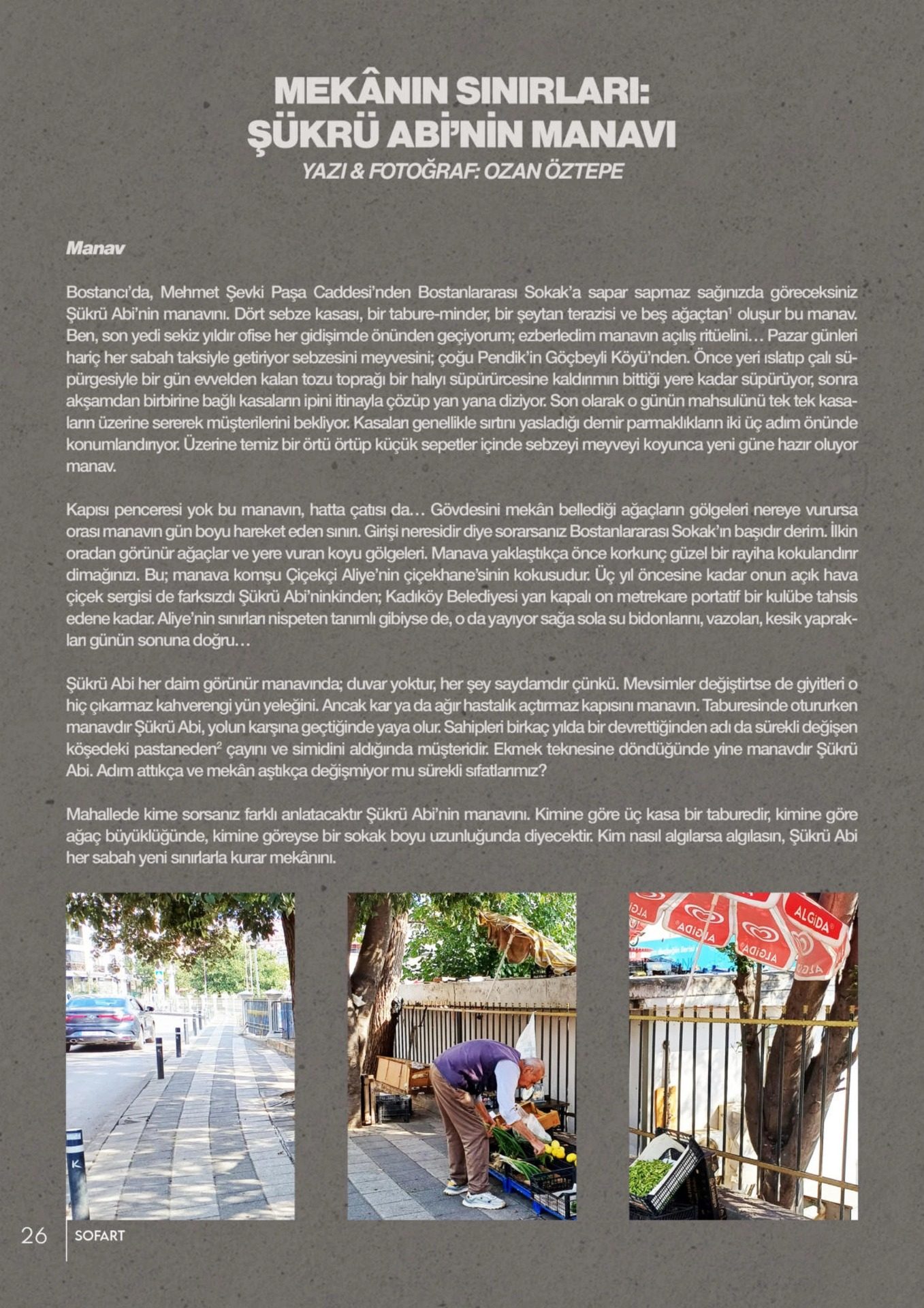 Mekânın Sınırları: Şükrü Abi’nin Manavı, 3. eser