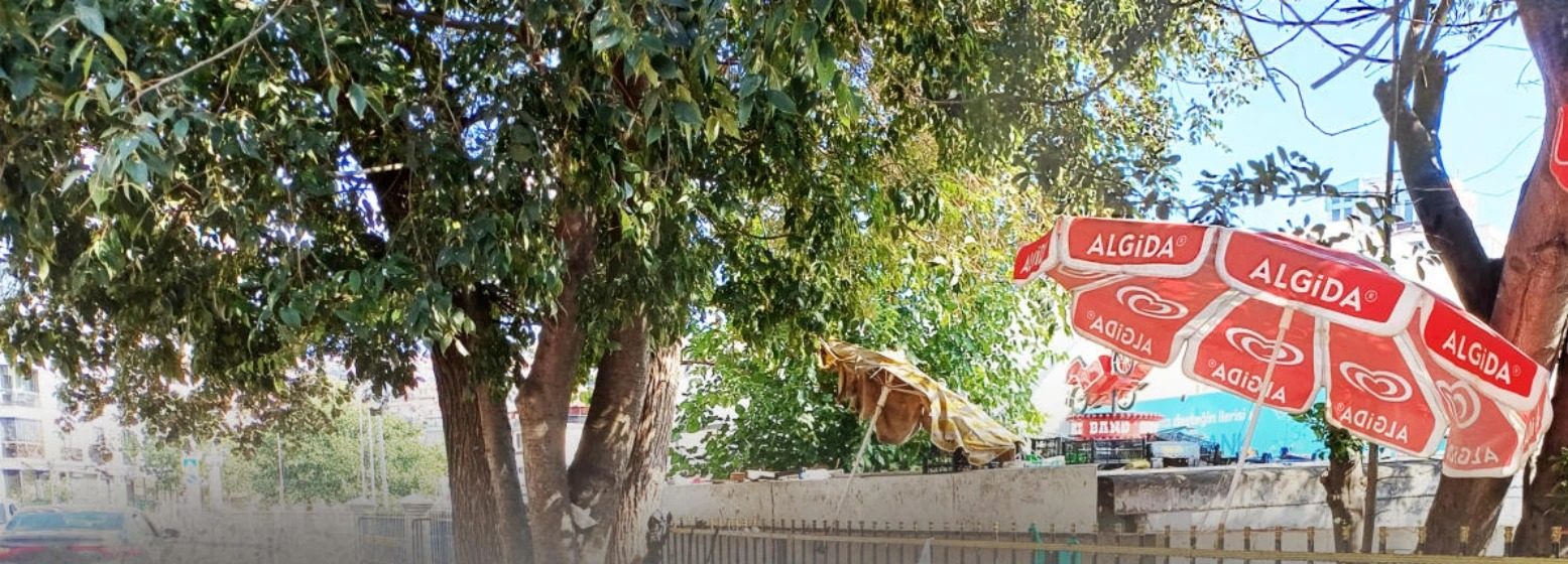 Mekânın Sınırları: Şükrü Abi’nin Manavı, 2. eser