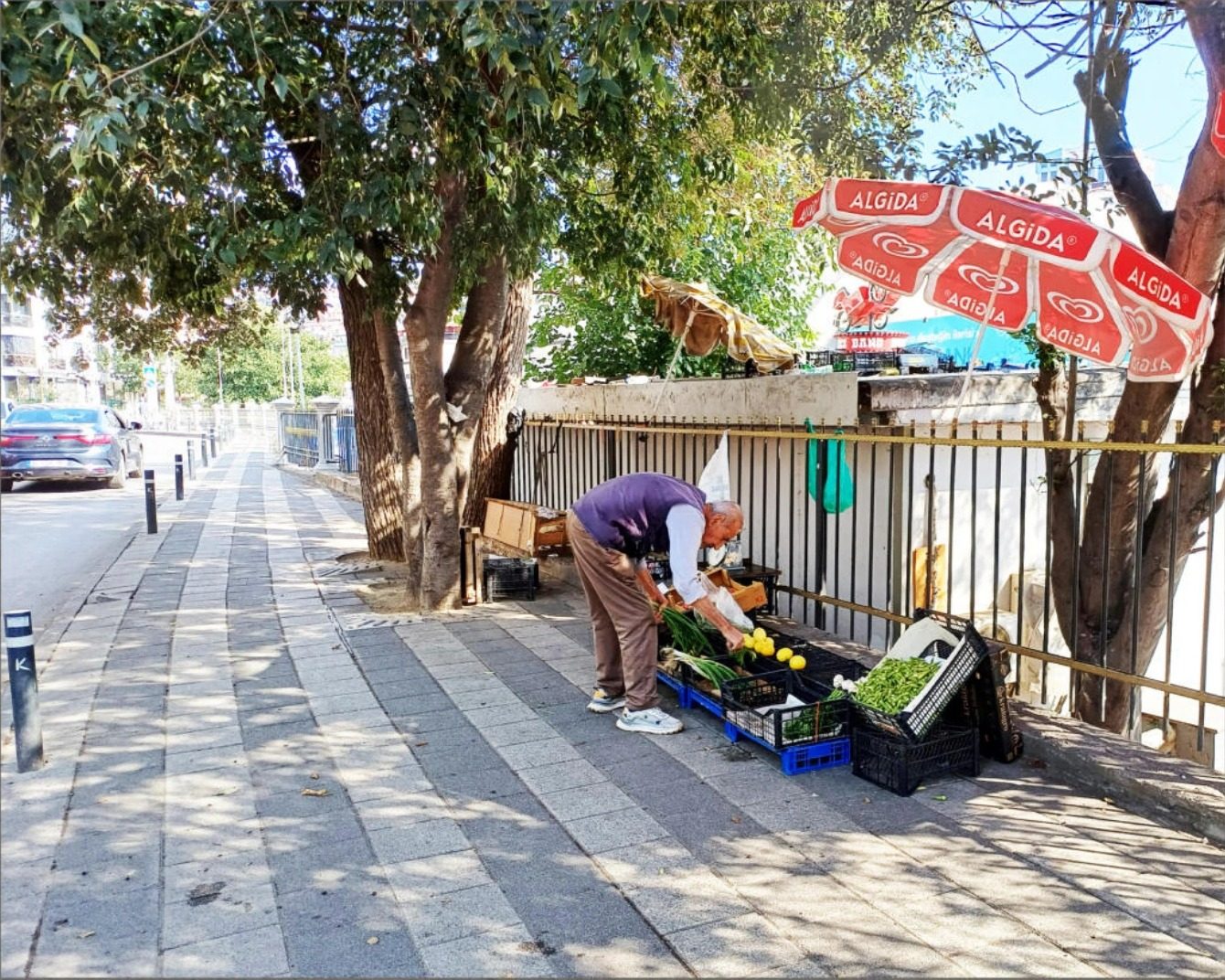 Mekânın Sınırları: Şükrü Abi’nin Manavı, 1. eser